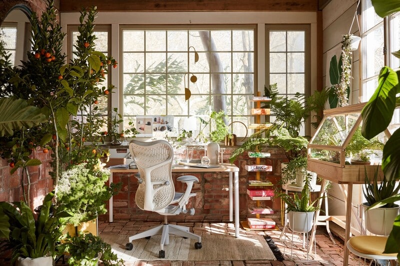 Escritório moderno com plantas naturais e janelas grandes